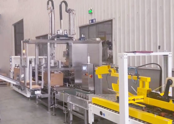 Ex-Proof Carton Box Packer